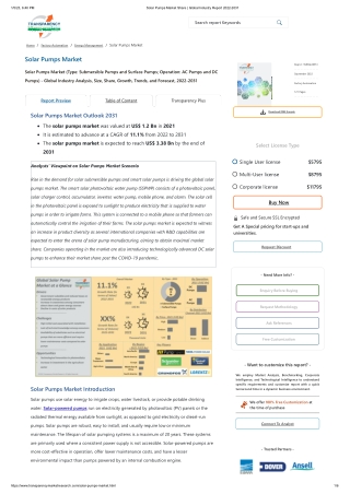 Solar Pumps Market Share _ Global Industry Report 2022-2031