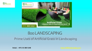 Prime Uses of Artificial Grass in Landscaping- 800 Landscaping