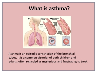 Herbal Remedies For Asthma Relief