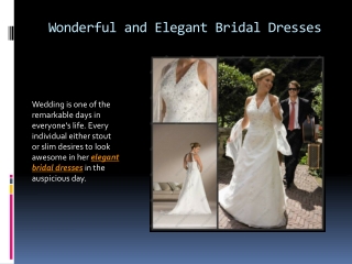 Wonderful and elegant bridal dresses