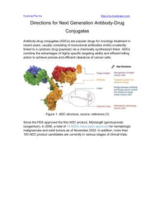 Directions for Next Generation Antibody-Drug Conjugates