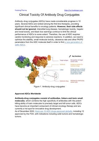 Clinical Toxicity Of Antibody Drug Conjugates