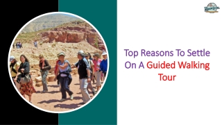 Top Reasons To Settle On A Guided Walking Tour