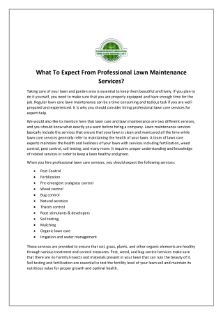 What To Expect From Professional Lawn Maintenance Services?