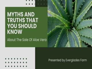 Myths And Truths That You Should Know About The Sale Of Aloe Vera