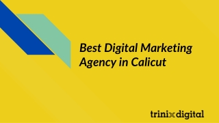 Best Digital Marketing Agency in Calicut