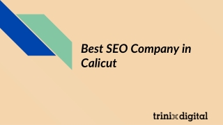 Best SEO Company in Calicut | SEO Service