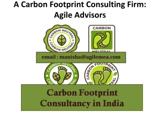 A Carbon Footprint Consulting Firm: Agile Advisors