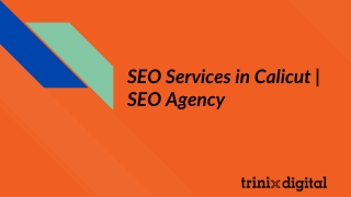 SEO Services in Calicut | SEO Agency