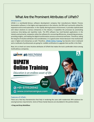 What Are the Prominent Attributes of UiPath