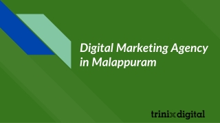 Digital Marketing Agency in Malappuram