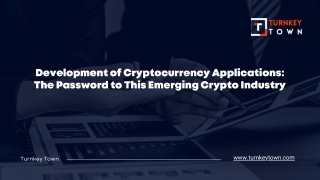 Development of Cryptocurrency Applications The Password to This Emerging Crypto Industry