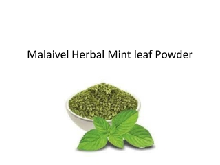 Mint leaf Powder