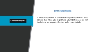 Smm Panel Netflix | Cheapsmmpanel.co