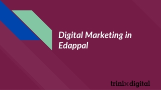Digital Marketing in Edappal | Trinix Digital