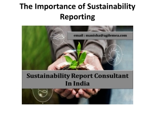 The Importance of Sustainability Reporting