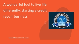 Accept the opportunity of starting a credit repair business