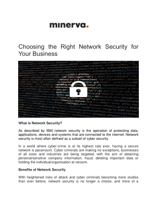 Choosing the Right Network Security for Your Business  - Minerva