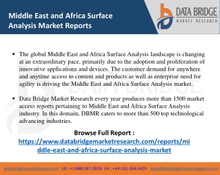 Middle East and Africa Surface Analysis Market-SE