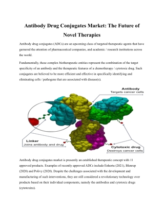 Antibody Drug Conjugates Market: The Future of Novel Therapies