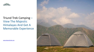 Triund Trek Camping – View The Majestic Himalayas And Get A Memorable Experience