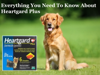 Everything you need to know about Heartgard Plus