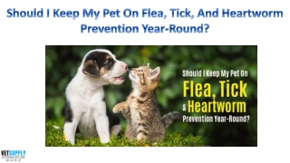 Should I Keep My Pet On Flea, Tick, And Heartworm Prevention Year-Round?