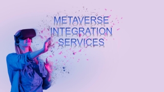 Metaverse integration services
