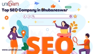 Unidrim Top SEO Company in Bhubaneswar