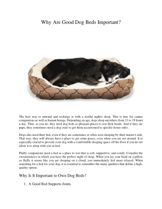 Why Are Good Dog Beds Important