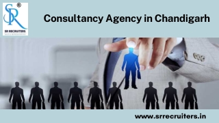 Consultancy Agency in Chandigarh