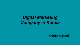 Digital Marketing Company in Kerala