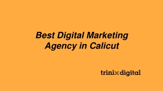 Best Digital Marketing Agency in Calicut