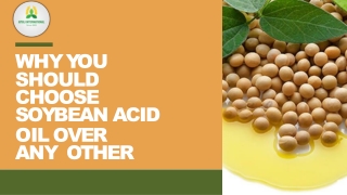 Why You Should Choose Soybean Acid Oil Over Any Other