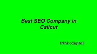 Best SEO Company in Calicut