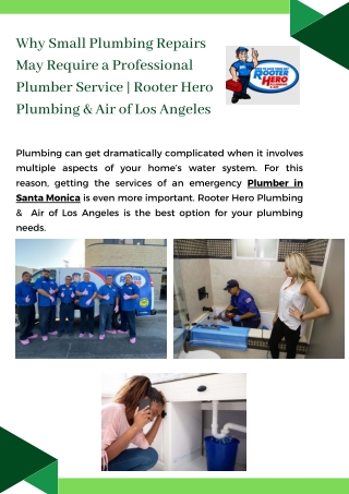 Why Small Plumbing Repairs May Require a Professional Plumber Service