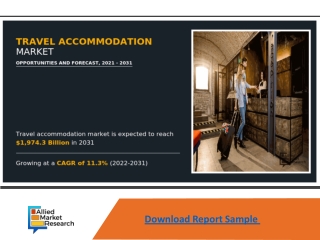 Travel Accommodation Market