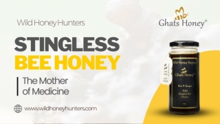 Stingless bee honey