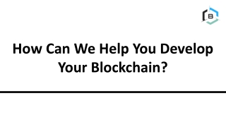 How Can We Help You Develop Your Blockchain?