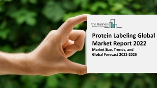 Protein Labeling Global Market Size, Share, By Product, By Application, By Method, By End User and Regional Forecast 202