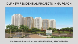 Dlf New Residential Projects In Gurgaon  Sector 63, Dlf New Residential Projects