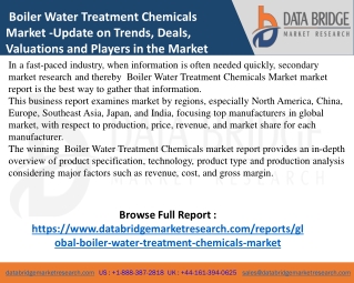 global-boiler-water-treatment-chemicals-market