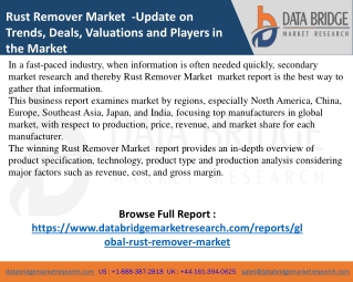global-rust-remover-market