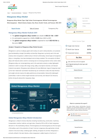 Manganese Alloys Market _ Global Industry Report, 2031