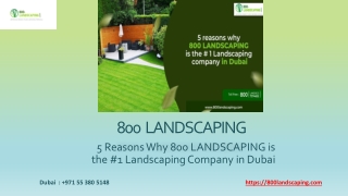 5 Reasons Why 800 LANDSCAPING is the #1 Landscaping Company in Dubai