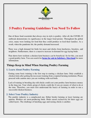 5 Poultry Farming Guidelines You Need To Follow