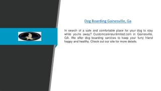 Dog Boarding Gainesville, Ga | Customcanineunlimited.com