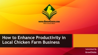 How to Enhance Productivity in Local Chicken Farm Business