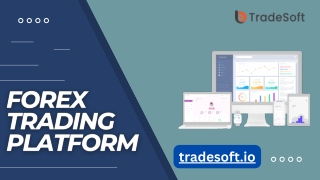 Forex Trading Platform