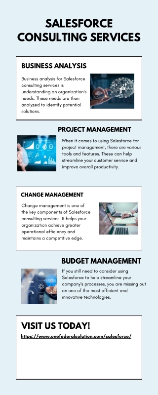 Salesforce Consulting Services